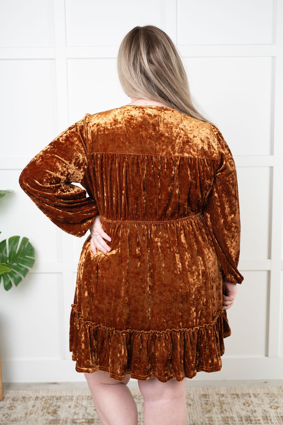 Magnificent Muse Velvet Dress - 11/7/2024