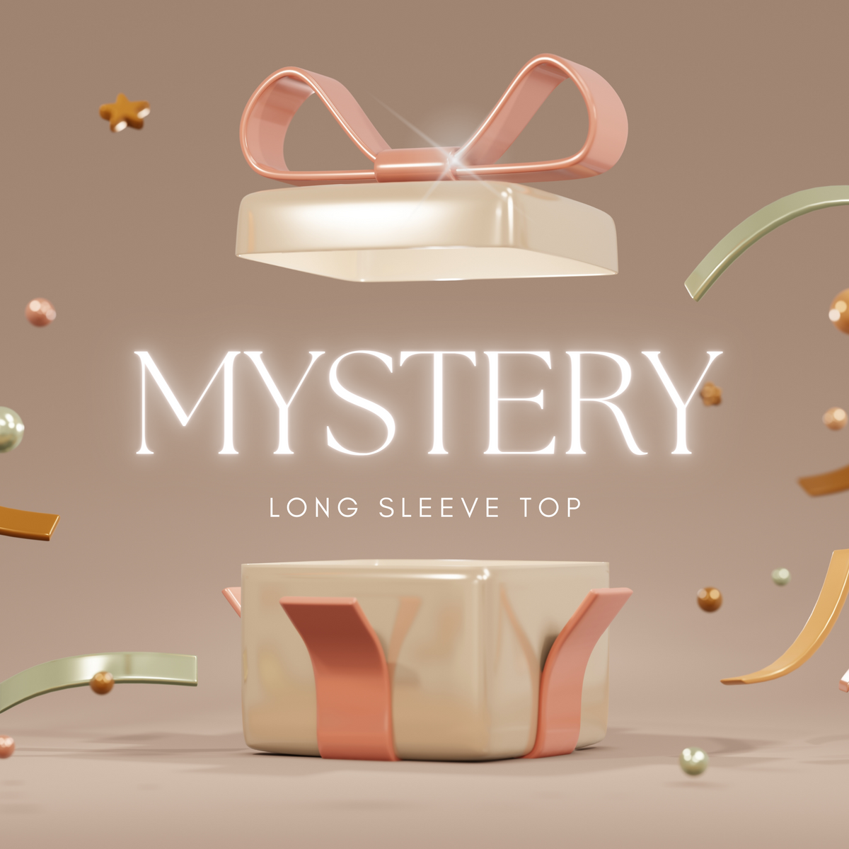 Mystery Long Sleeve Top - 11/23/2023