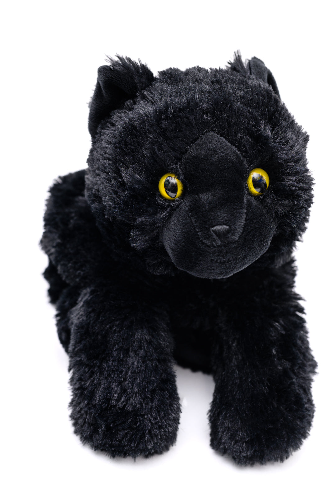 Black Cat Warmies - 10/2/2023