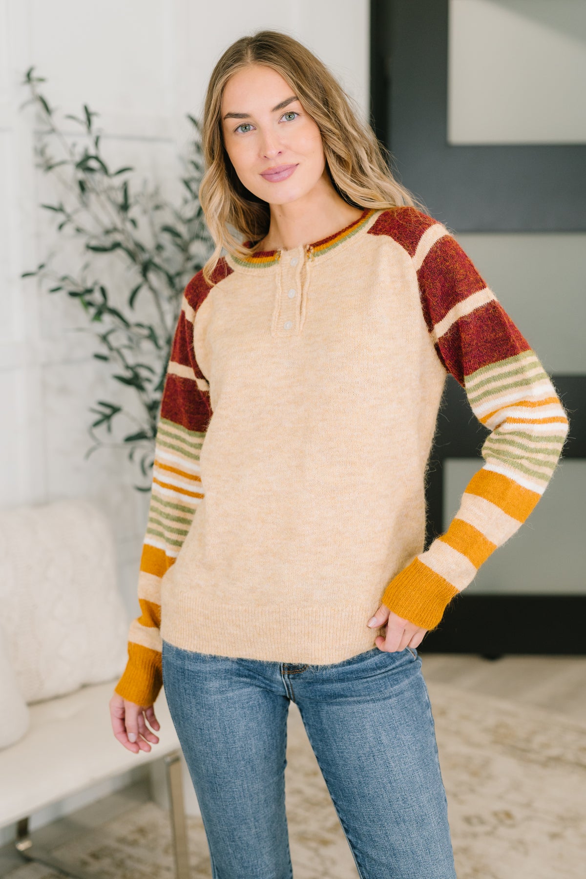 Classically Curious Brushed Henley Top - 11/3/2026