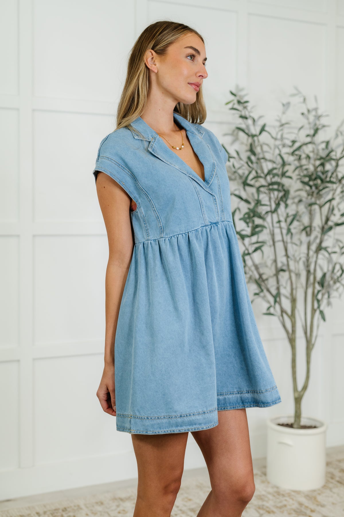 First Rodeo Denim Dress - 5/16/2025