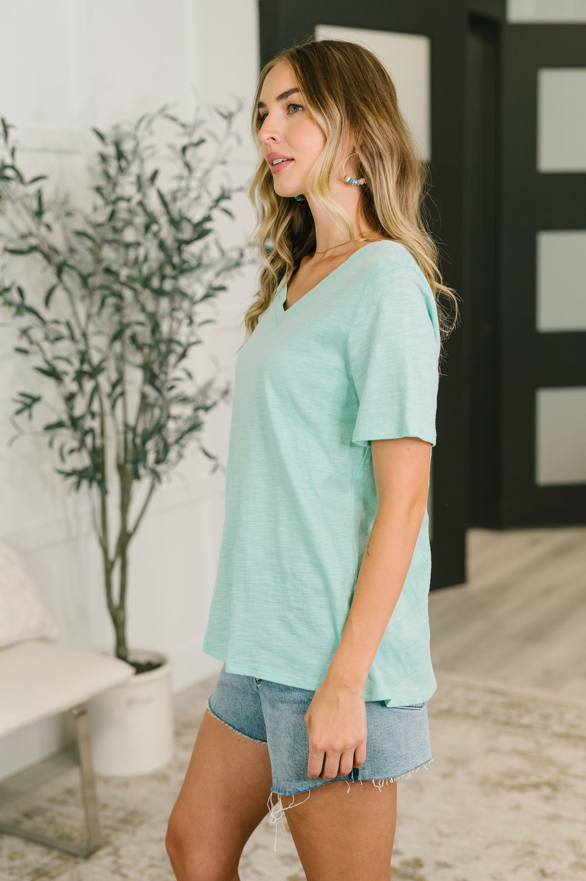 I Don't Have to Choose V-Neck Tee in Mint - 7/10/2026