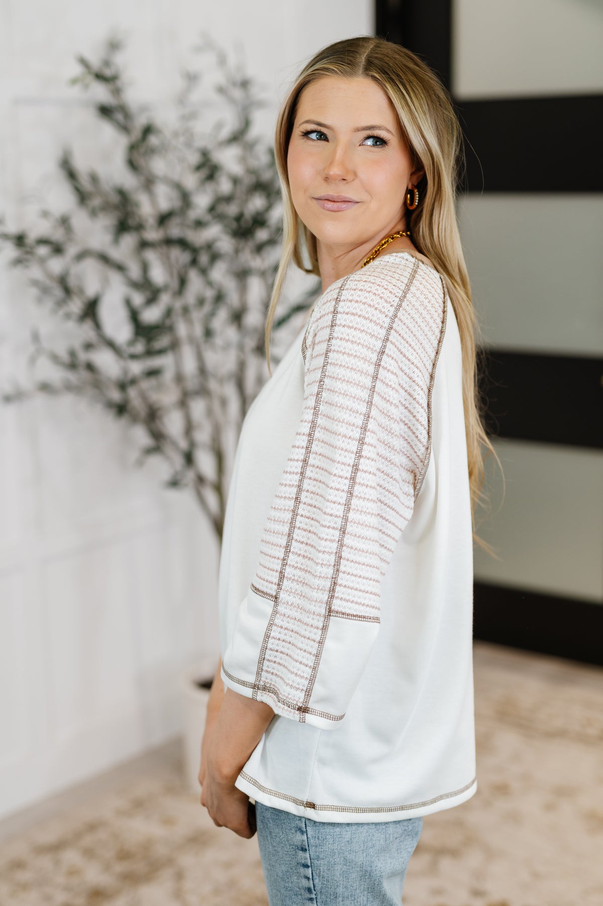 Preoccupied Striped Sleeve Top in Tan - 6/19/2025