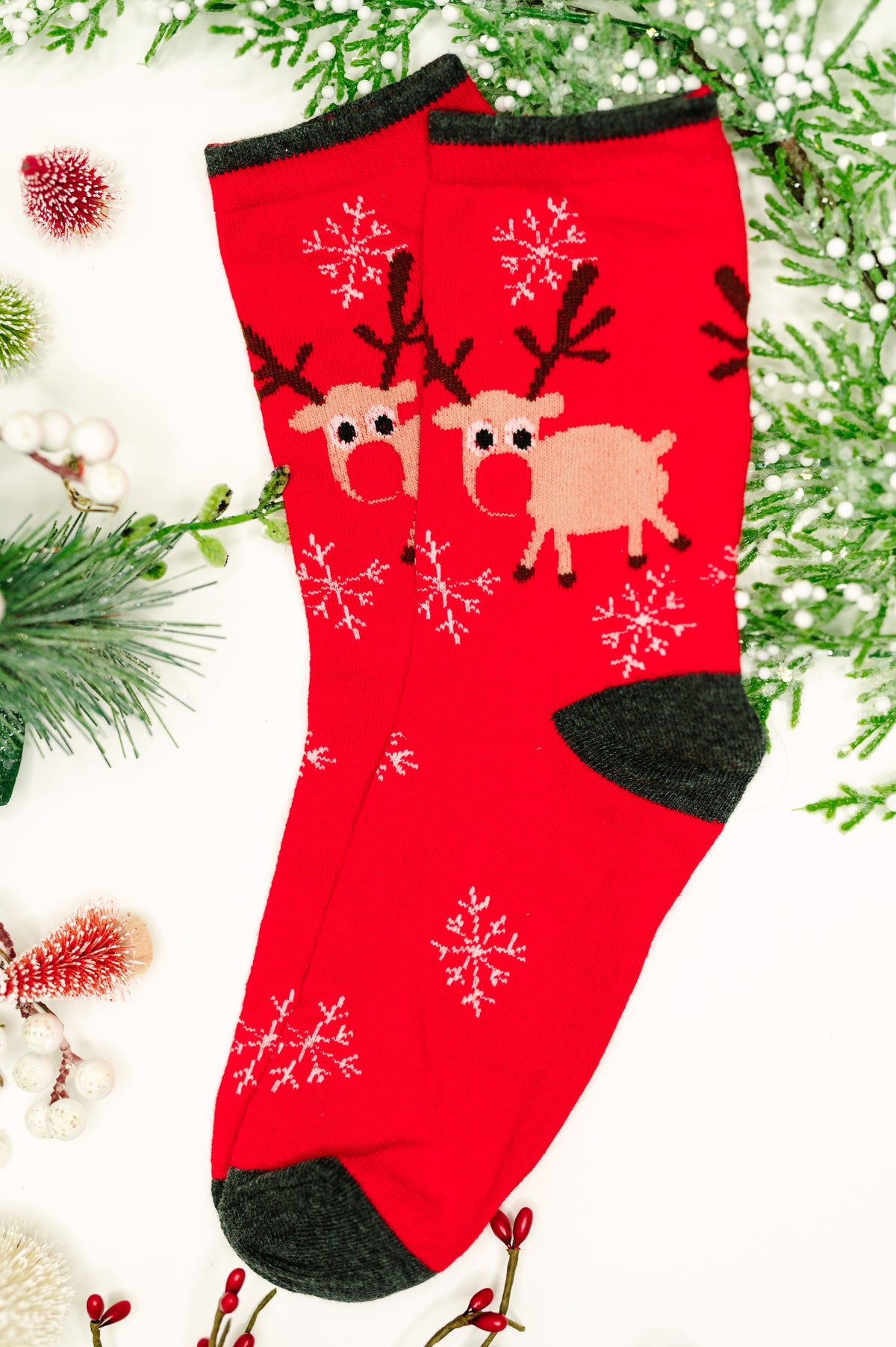 Sock the Halls 5 Pack - 11/14/2025