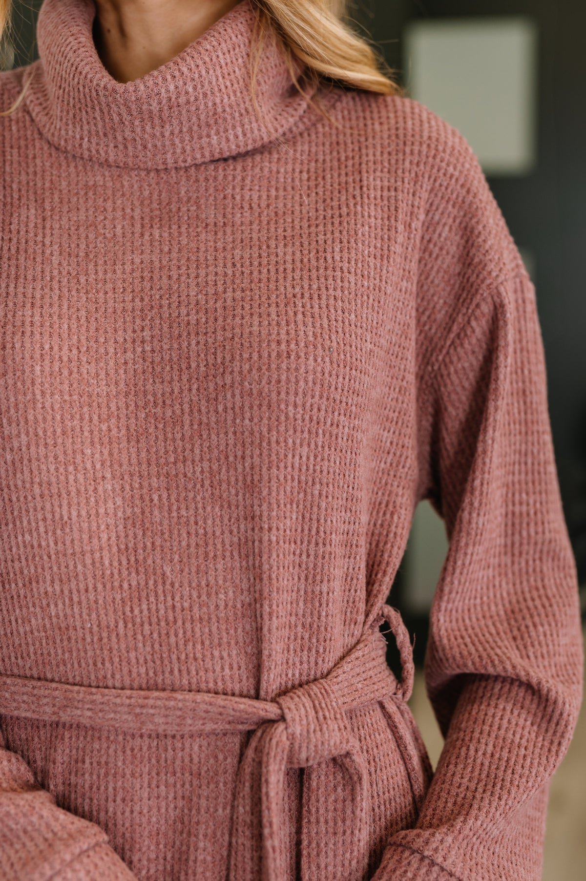 Travel Plush Knit Dress in Autumn Berry - 11/7/2025