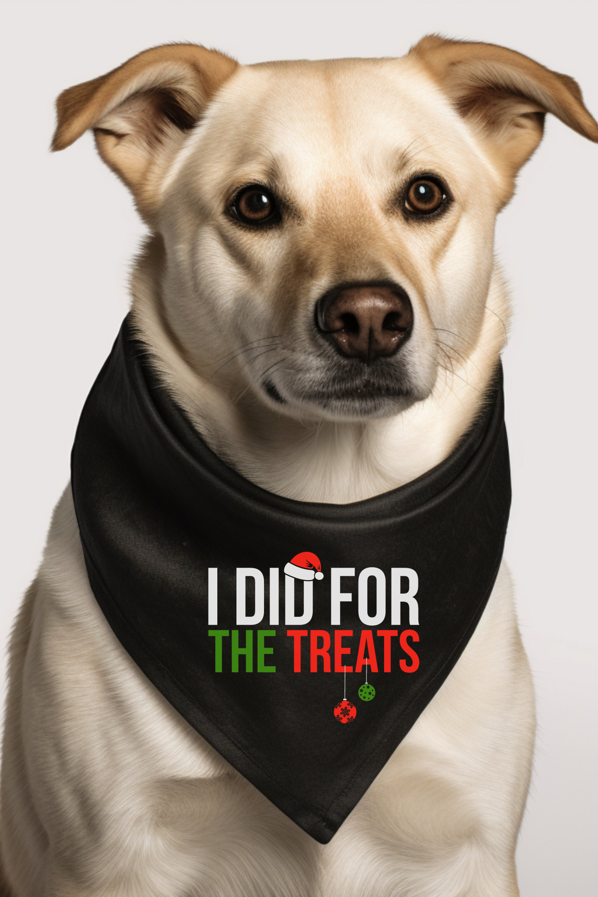 PREORDER: For The Treats Family Dog Bandana