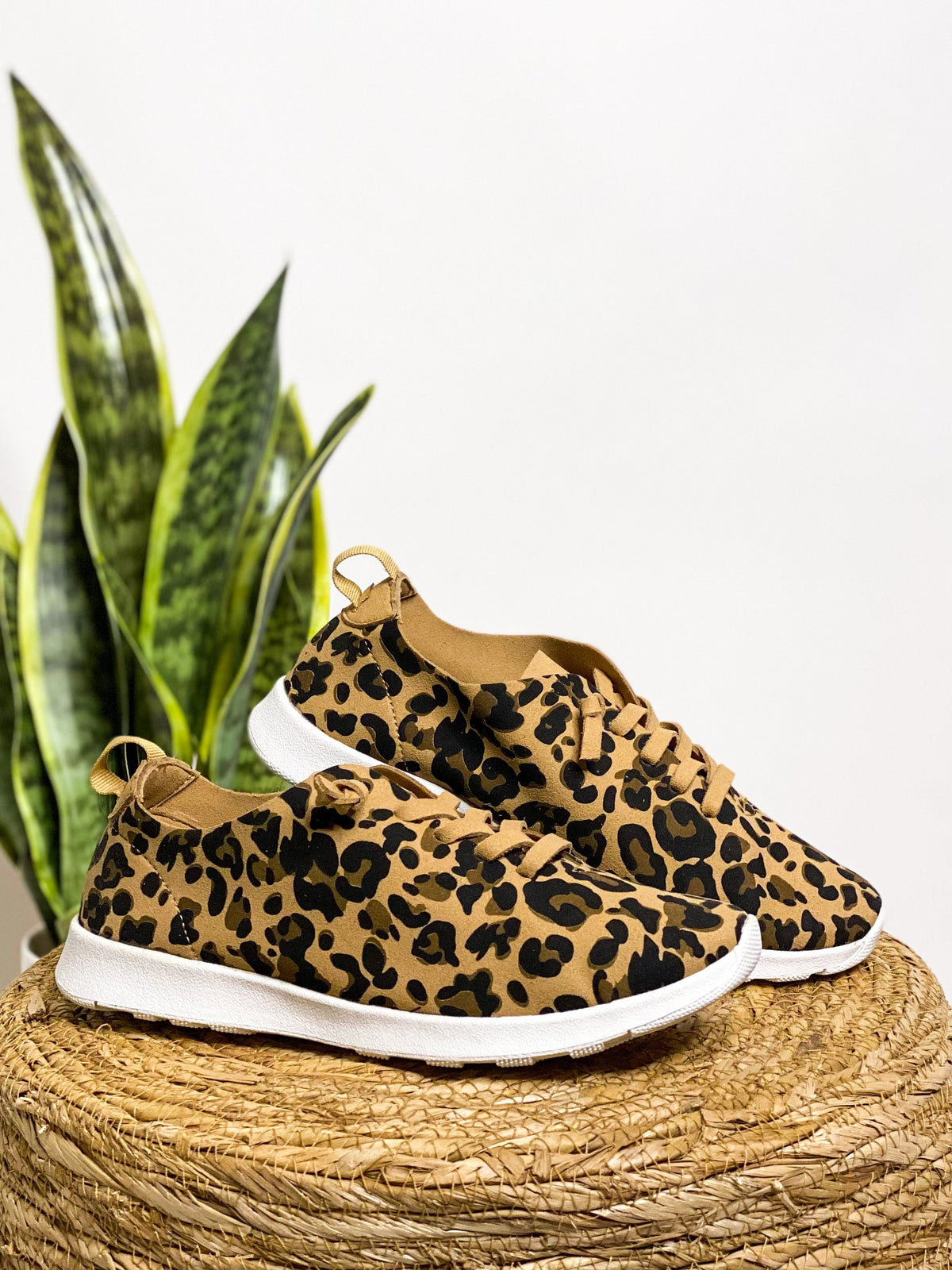 Not Rated Mayo Sneaker in Leopard - Rural Haze